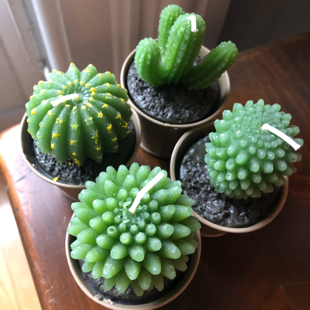 Set of four decorative succulent candles